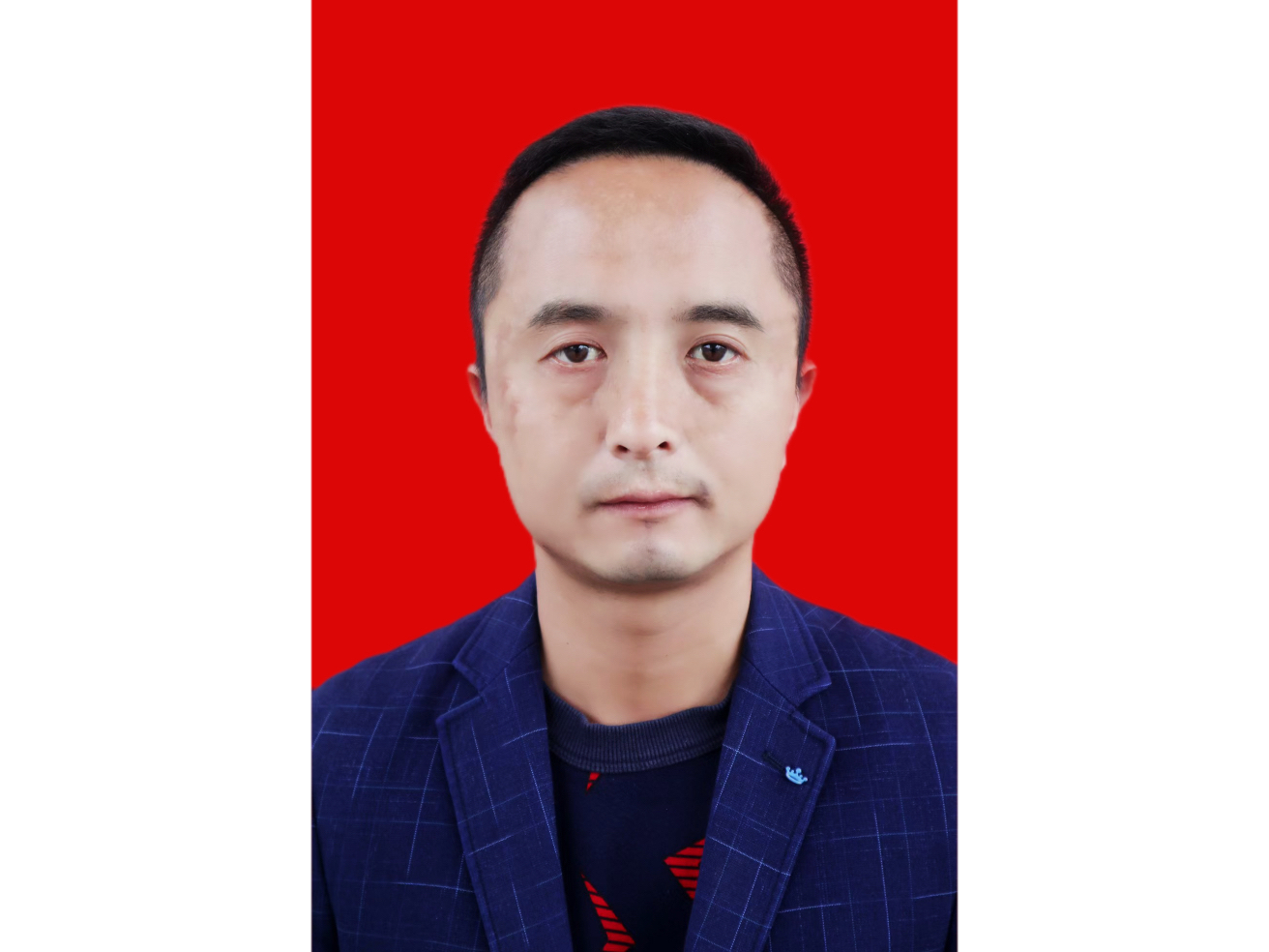副校长：王 宁